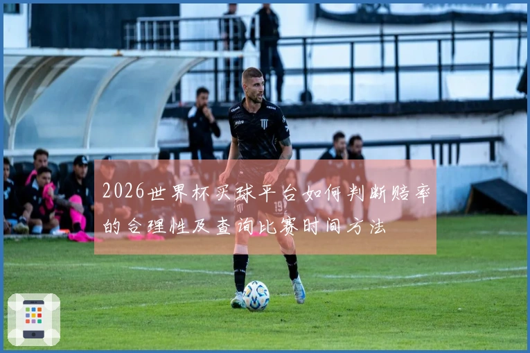 2026世界杯买球平台如何判断赔率的合理性及查询比赛时间方法